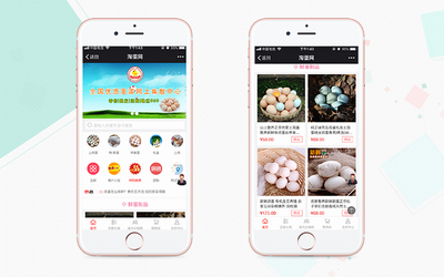 小程序商城開發(fā)小程序定制開發(fā)微信公眾號B2C商城開發(fā)基礎(chǔ)版