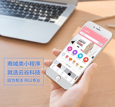 微信小程序拼團(tuán)商城平臺定制開發(fā)開發(fā)云APP開發(fā)